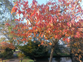 Photograph © Iona June