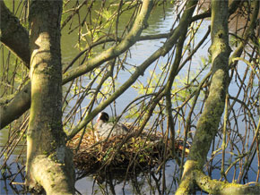 Photograph © Iona June