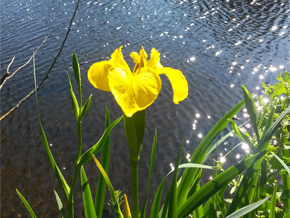 Photograph © Iona June