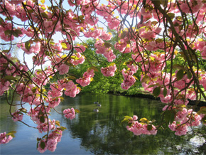 Photograph © Iona June