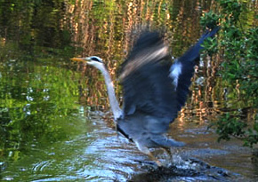 Photograph © Iona June