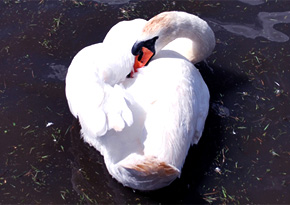 Photograph © Iona June