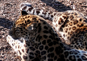 Photograph © Iona June