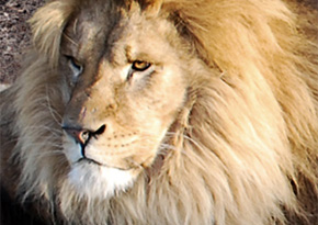 Photograph © Iona June