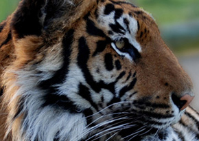 Photograph © Iona June