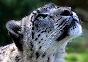 Photograph © Iona June