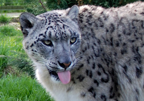 Photograph © Iona June