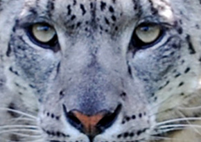 Photograph © Iona June