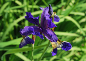 Photograph © Iona June