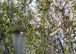 Photograph © Iona June