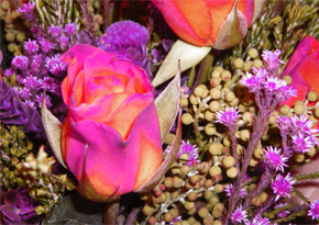 Photograph © Iona June