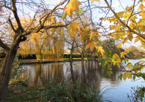 Photograph © Iona June