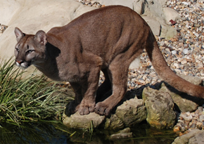 Photograph © Iona June