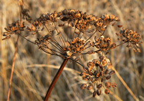 Photograph © Iona June