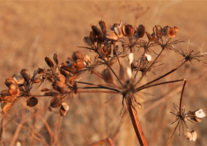 Photograph © Iona June