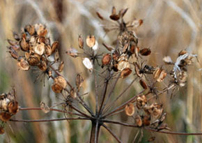 Photograph © Iona June