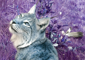 Photograph © Iona June